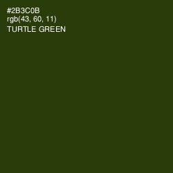 #2B3C0B - Turtle Green Color Image